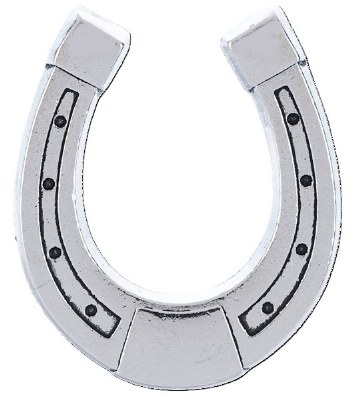 THE LUCKY LITTLE HORSESHOE
