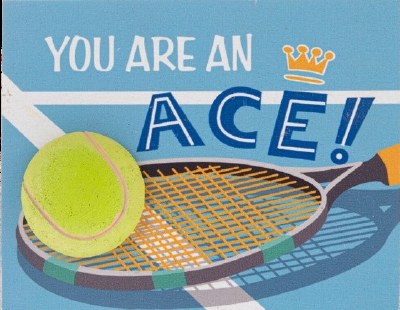 YOU ARE AN ACE MAGNET
