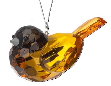 ORIOLE BIRD