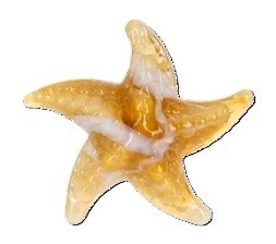 GOLD STARFISH CHARM
