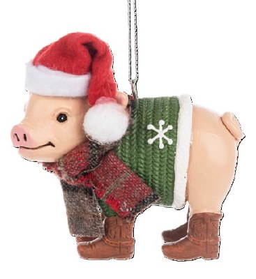PIG