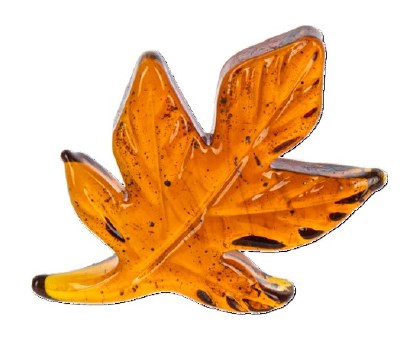 ORANGE LEAVES OF CHANGE