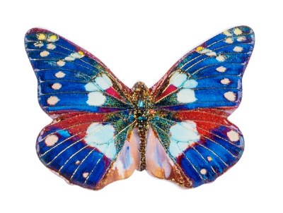 BUTTERFLY MAGNET