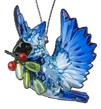 OPENED WINGED BLUE JAY