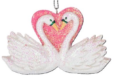 SWAN COUPLE
