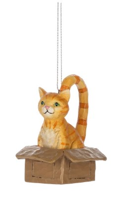 ORANGE CAT