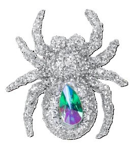 SILVER SPIDER