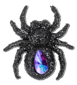 BLACK SPIDER