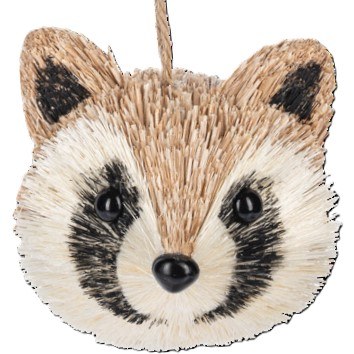 RACCOON