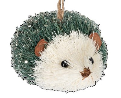 GREEN HEDGEHOG