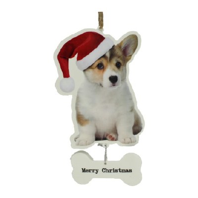 CORGIE PUPPY