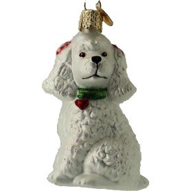 POODLE