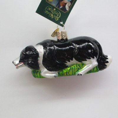 HERDING BORDER COLLIE