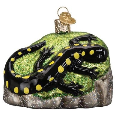 SALAMANDER