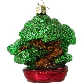 BONSAI TREE