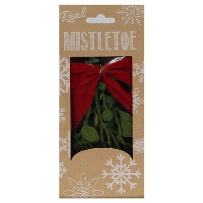REAL MISTLETOE