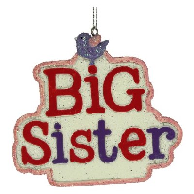 BIG SISITER