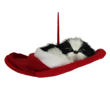 BLACK AND WHITE DOG IN SLIPPER