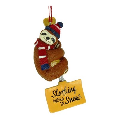 SLOTH  SLOTHING THROUGH THE SN