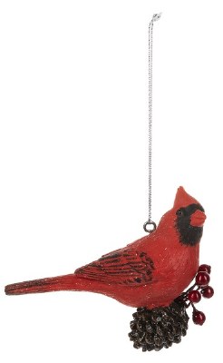 CARDINAL ON PINECONE