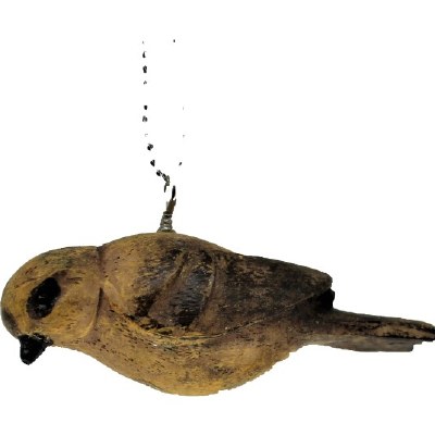BROWN BIRD