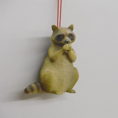RACCOON