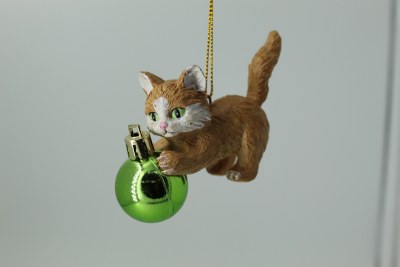 YELLOW CAT GREEN BALL