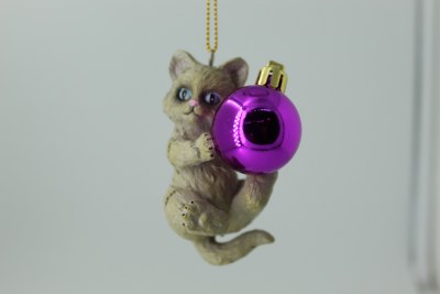 BLACK CAT HOLDING CHIRISTMAS LIGHT