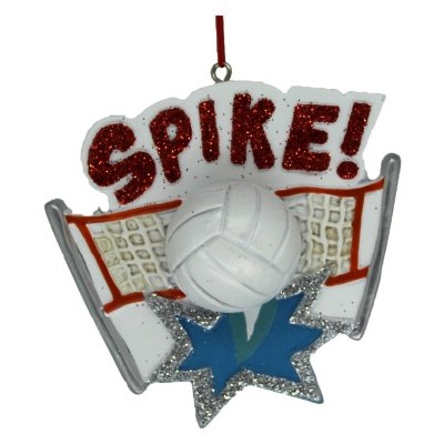 SPIKE VOLLEYBALL