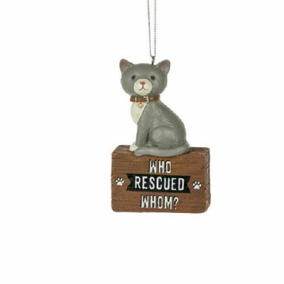 CAT WHO RESCUED WHOM