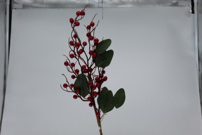 RED BERRY PICK