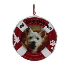 WHO RESCUED WHO PICTURE FRAME