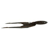 USS DISCOVERY