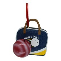 BOWLING BALL AND BAG