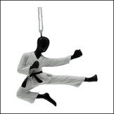 MARTIAL ARTS