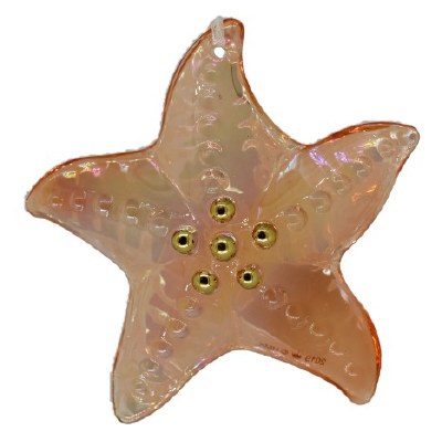 STUNNING STARFISH