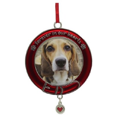 PICTURE FRAME FOR DOG