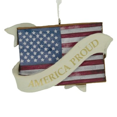 AMERICA PROUD FLAG