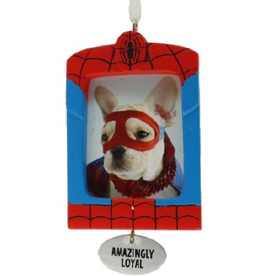 SPRIDERMAN PICTURE FRAME