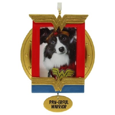 WONDER WOMEN PICTURE FRAME