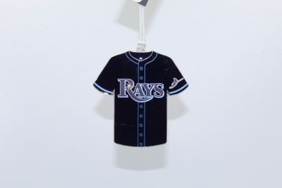 TAMPA BAY RAYS