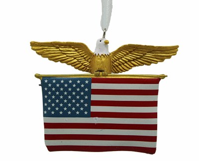 FLAG WITH EAGLE