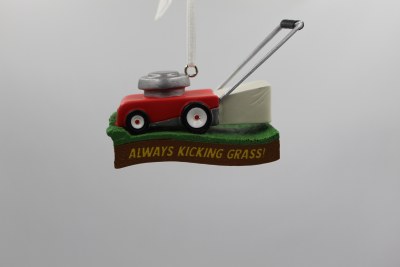 ALWAYS KICKING GRASS