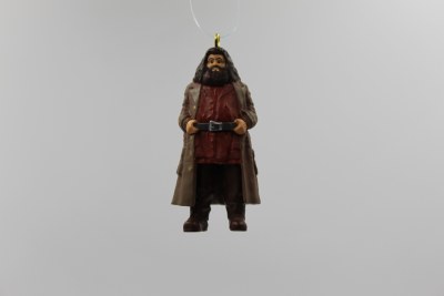 HAGRID