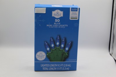 50 CT. LED MINI LIGHTS