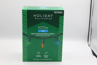 100 CT LED MINI LIGHTS