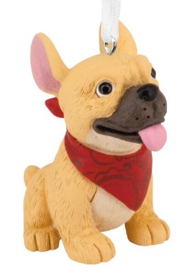 FRENCH BULLDOG