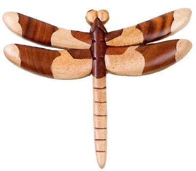 DRAGONFLY MAG