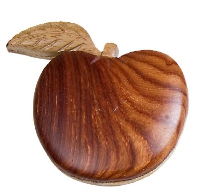 APPLE  MAGNET