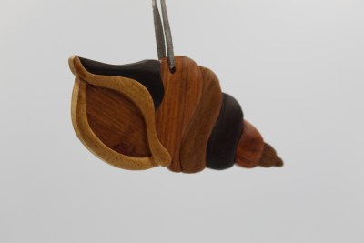 SEA SHELL